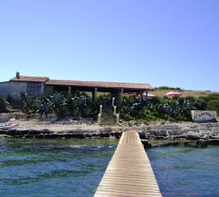 Insel Ceja Bar