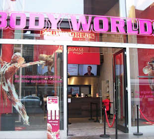 Body Worlds