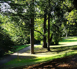 Herbstspaziergang durch Knoops Park