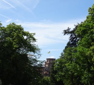 Schlossgarten