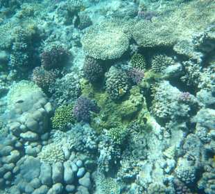 Unterwasserwelt Bootstour Utopia