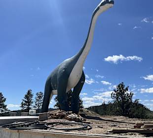 Dinosaur Park