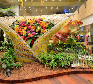 Flughafen Singapur Changi (SIN)