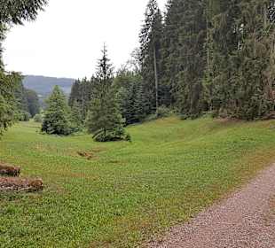 Wandern Elzach