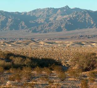 Little Sahara