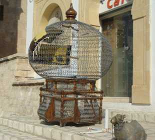 Klatka do ptaków w Sousse