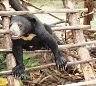 Wildlife Rescue Center