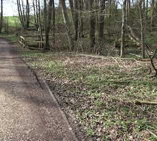 Gomaringer Rundweg - Zu den Giganten im Wald