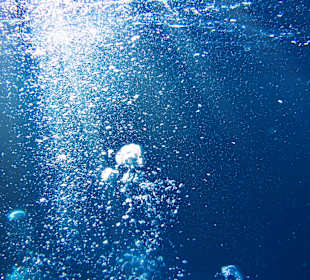 Schnorcheln Marsa Alam