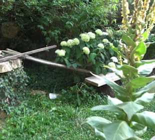 Interkultureller Gemeinschaftsgarten