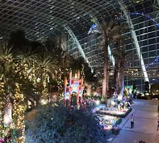 Flower Dome Singapur