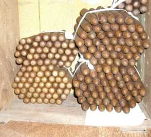 Cigarren von Reynaldo