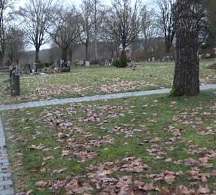 Friedhof Mittelstadt