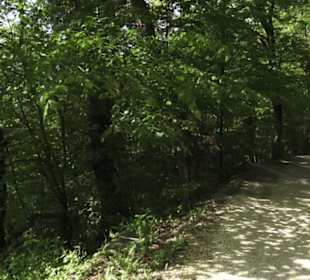 Burgruine Hohenstaufen