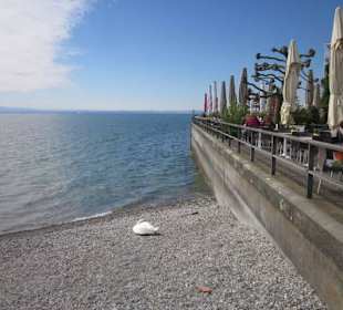 Promenade Friedrichshafen