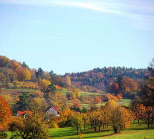 Ausblick von oben Egloffstein