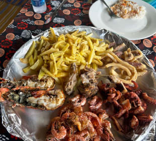 Gastro
