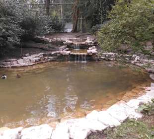 Weltvogelpark Walsrode