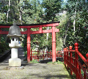 Monte Palace Tropical Garden