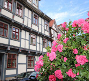 Prächtiges Fachwerk