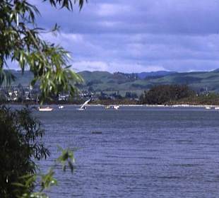 Der Lake Rotorua mit Wasserflugzeug