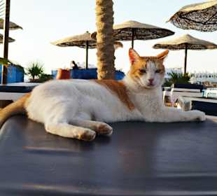 Hurghada Marina Boulevard