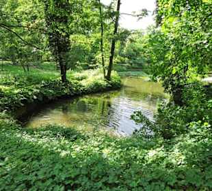 Am Bamberger Hainweiher