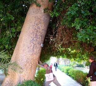 Lange gehts nicht mehr!