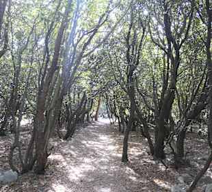 Wanderung von Baška hoch zum Mondplateau