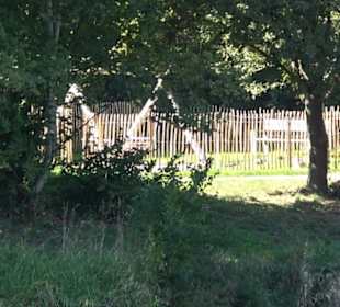 Schaukelweg an der Donau