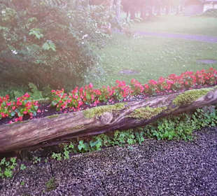 Viele Blumen