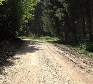 Wanderung Froschteich-Tour