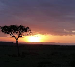 Sonnenaufgang Masai Mara