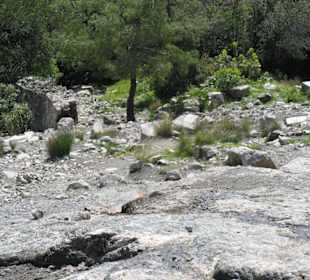 Blick den Berg herab