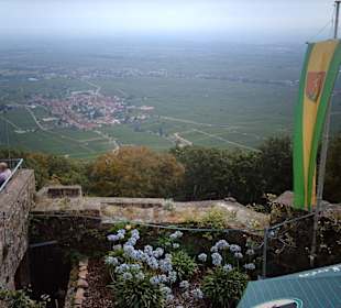 Blick von der Rietburg in die Weinebene
