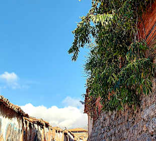 San Blas-The Artists District