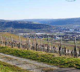 Blick vom Rundweg Steinzeit