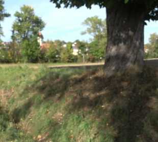 Friedhof Eutingen im Gäu
