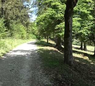 Premiumwanderweg Hochgehschätzt