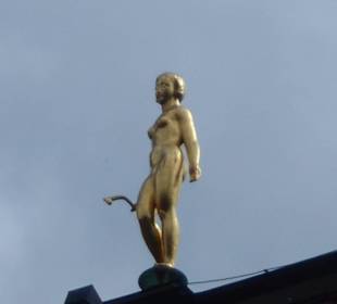 Dachfirgur am Rathaus Stockholm