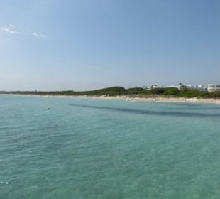 Blick vom Bootssteg auf den Strand (Sektor 2)