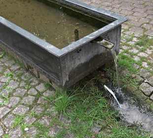 Historischer Dorfbrunnen Oberwaldachtal