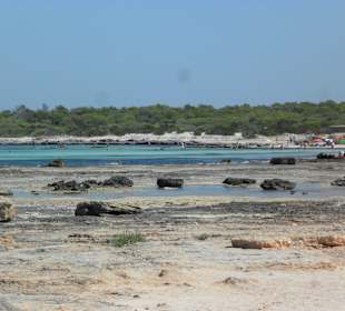 Ein Teil des Strandes "Es Trenc"