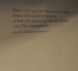 Museum für Kutschen, Chaisen & Karren