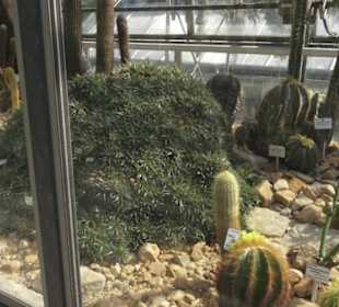 Botanischer Garten