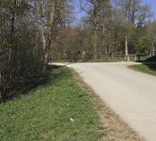 Wanderparkplatz Tannenwald