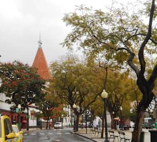 Bitte beschreiben Sie, was auf Ihren Bildern zu se