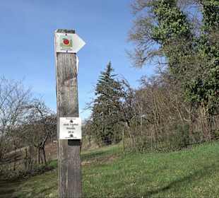 Hirschauer Spitzbergwegle (Premiumspazierwanderweg