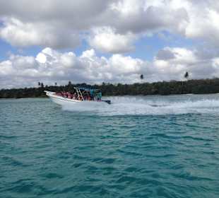 Eines von drei Seavis Booten an diesem Tag