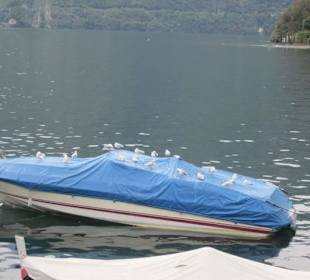 Lenno